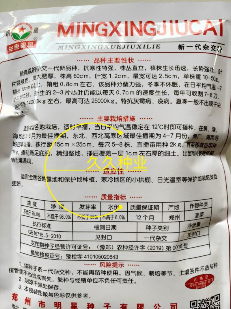 东盛九号韭菜种苗多年生韮菜籽盆栽不休眠四季蔬菜