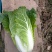 黄心大白菜
