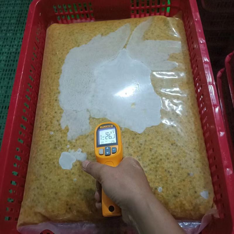 进口百香果汁