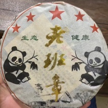 2013年熊猫老树圆茶，此茶金黄汤色，条索肥壮，饼面油光