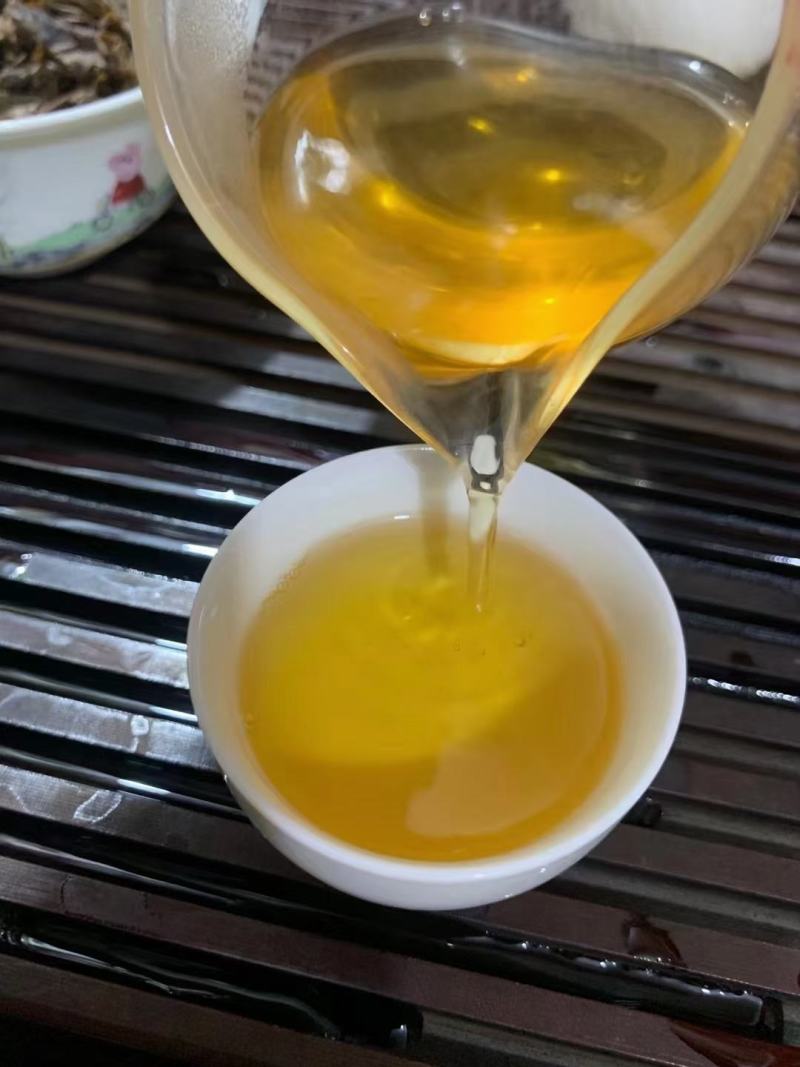 2013年熊猫老树圆茶，此茶金黄汤色，条索肥壮，饼面油光