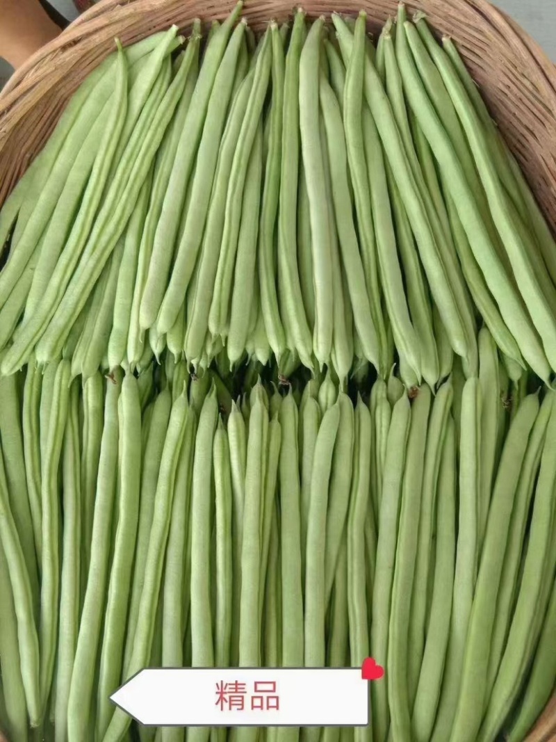 小金豆现货大量上市中云南产地直发一手货源