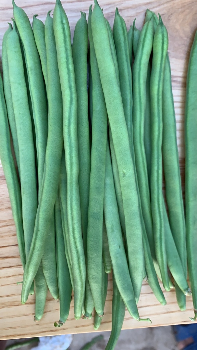 小金豆现货大量上市中云南产地直发一手货源