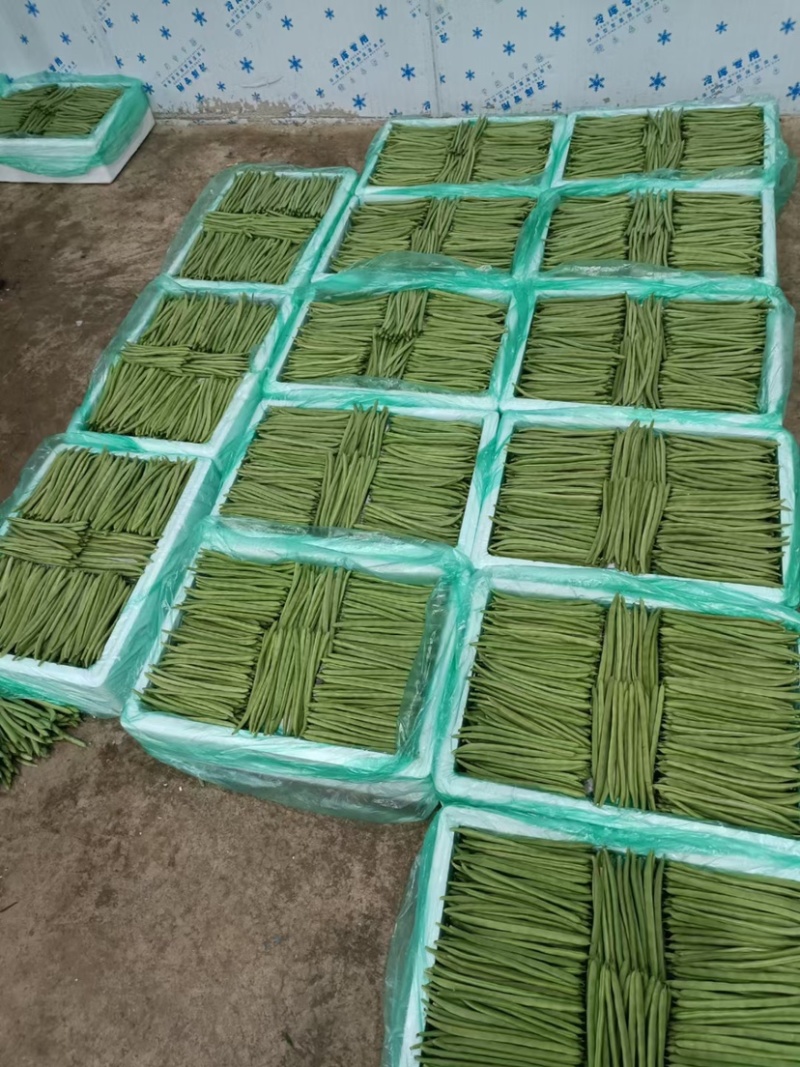 小金豆现货大量上市中云南产地直发一手货源