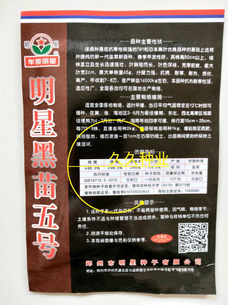 明星黑苗5号韭菜种子四季可播韭菜籽韭菜割茬多次采收
