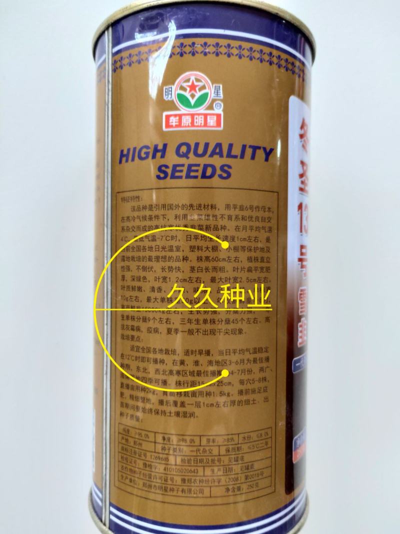 东盛13号韭菜种苗多年生韮菜籽盆栽不休眠四季蔬菜