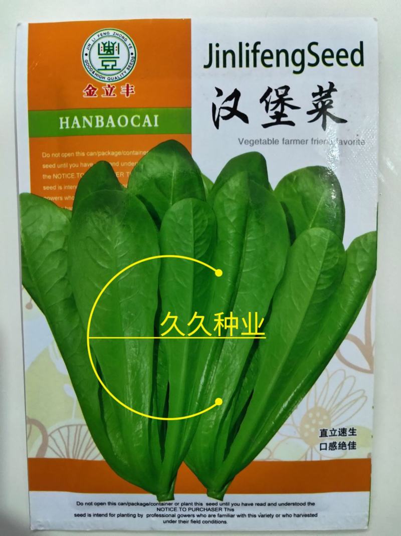 汉堡菜种子奶油沙拉生菜西餐生菜榨汁轻食菜叶菜四季播种蔬菜