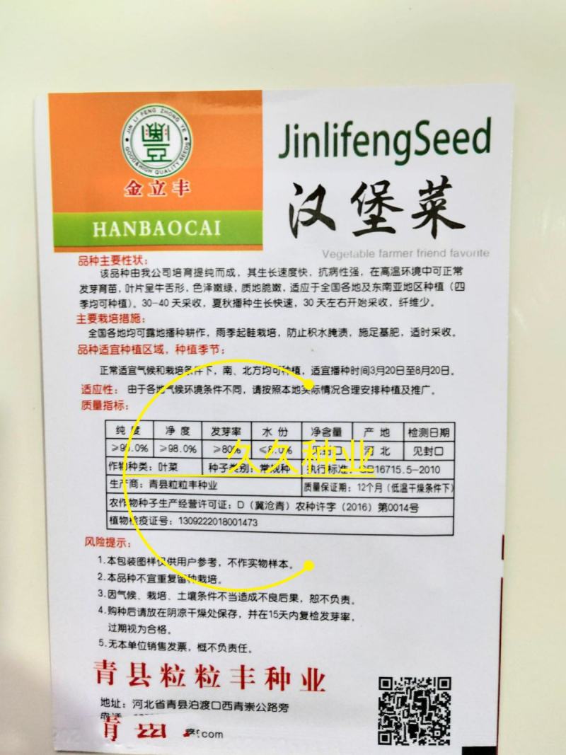 汉堡菜种子奶油沙拉生菜西餐生菜榨汁轻食菜叶菜四季播种蔬菜