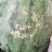 沙地大西瓜