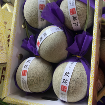 寿光田马美华网五等各种品种的网纹实力代收