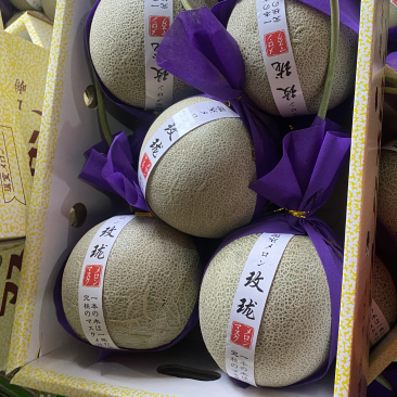 寿光田马美华网五等各种品种的网纹实力代收