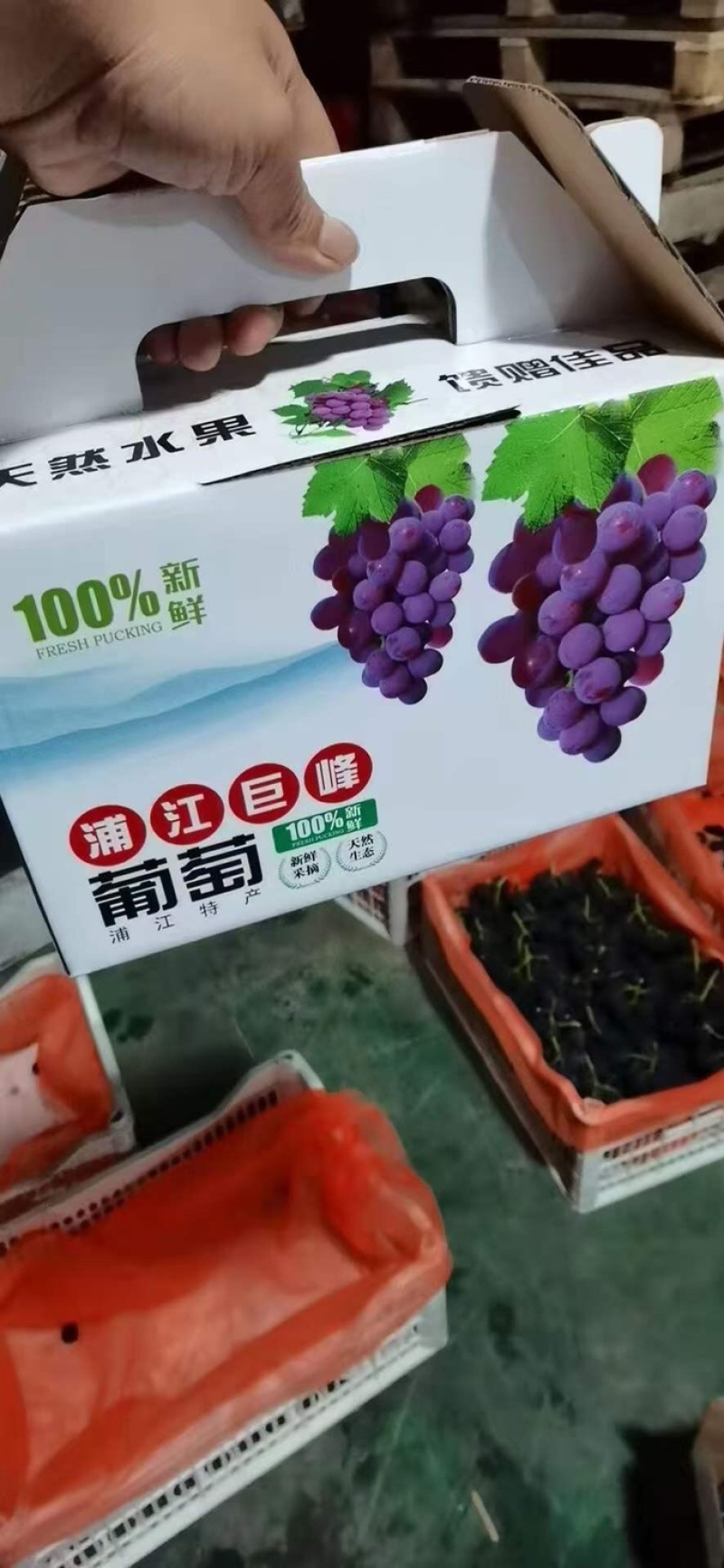 巨峰葡萄🍇！论件秒