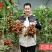 豫艺巧克力番茄种子抗氧化功能糖度10度酸甜可囗不裂果效益