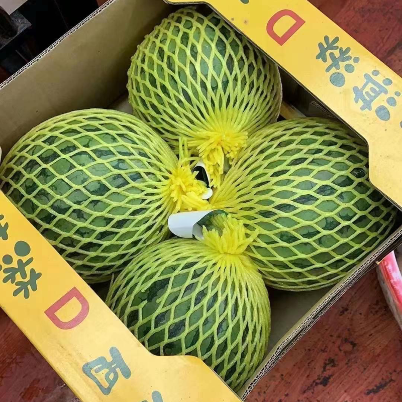 特小凤西瓜🍉