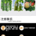 针蜂药高氯残杀威果树火龙果实蝇蜂蝇瓜实蝇针蜂杀虫剂