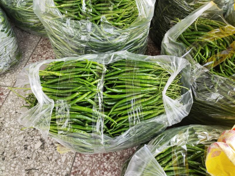 二荆条大量本地薄皮上市，货源充足需要的联系。