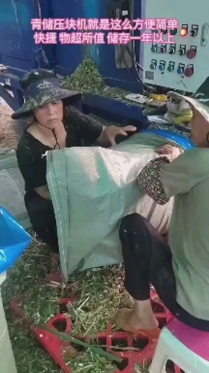 青储打包机套袋一体机黄储青储全自动压块机