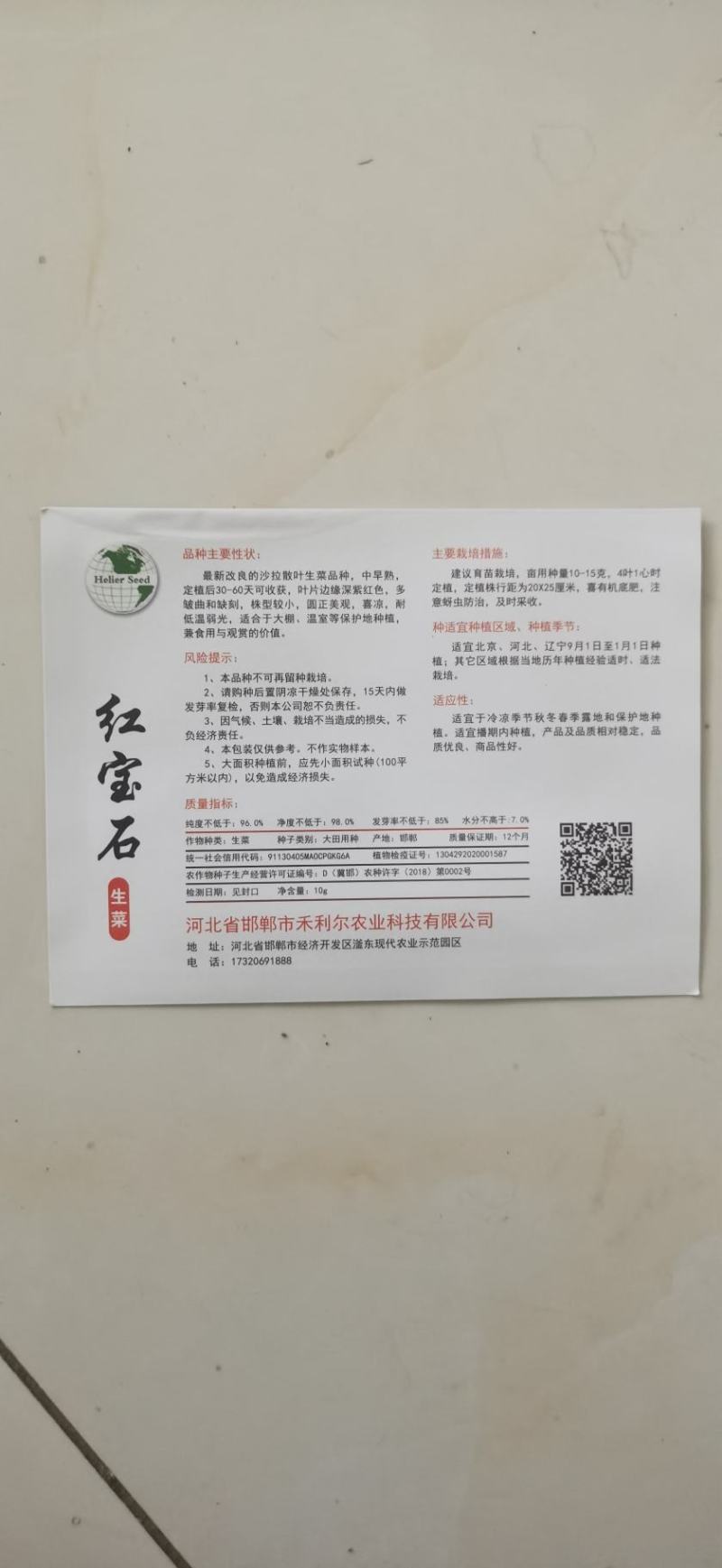 红宝石紫叶生菜种子红生菜种籽早熟抗病强基地