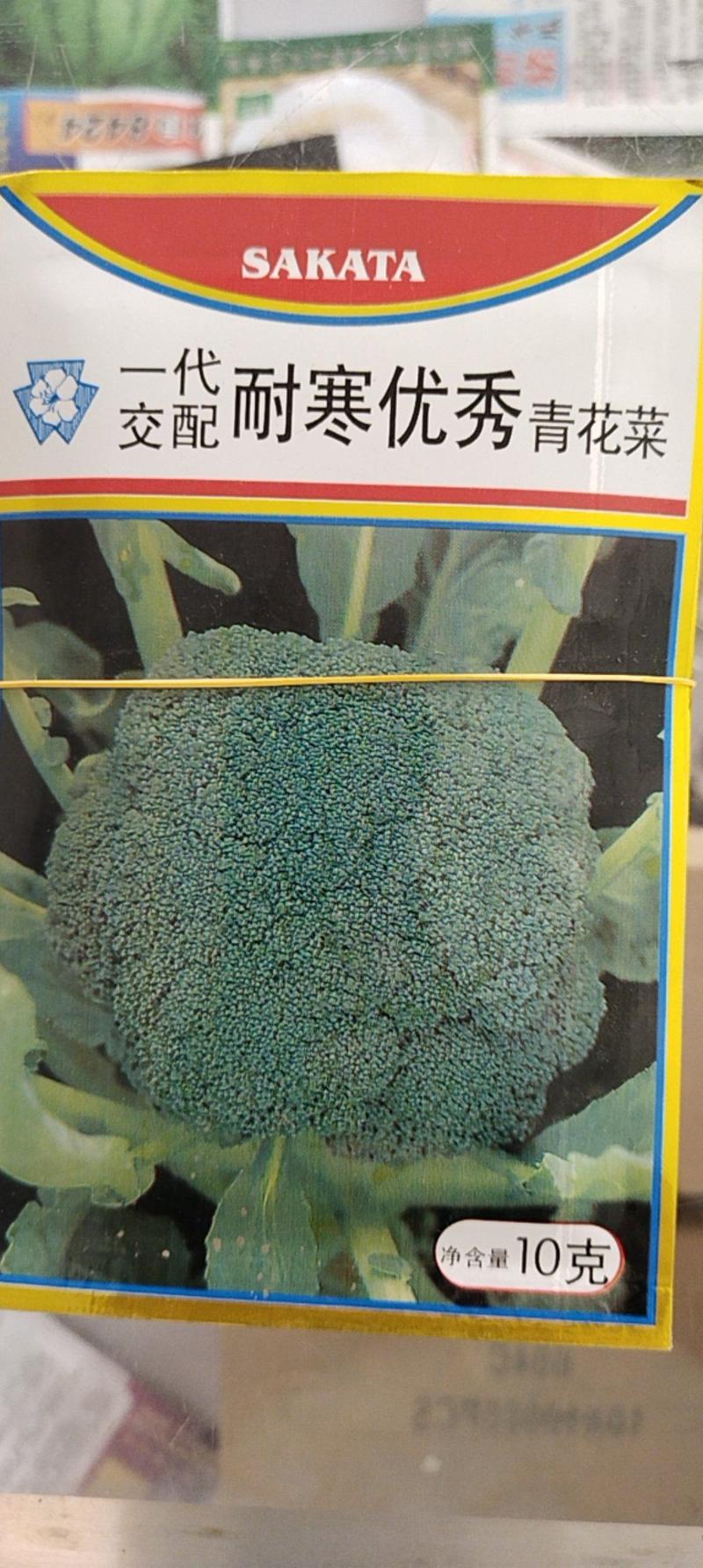 日本坂田进口西兰花种子耐寒优秀西兰花种子原装正品