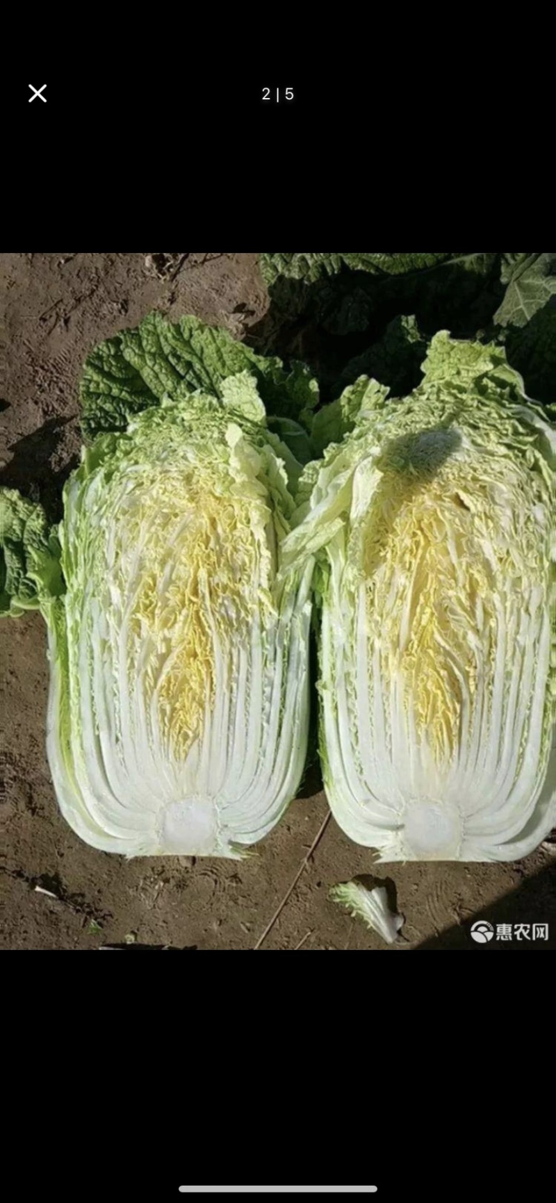 平泉玲珑黄上市