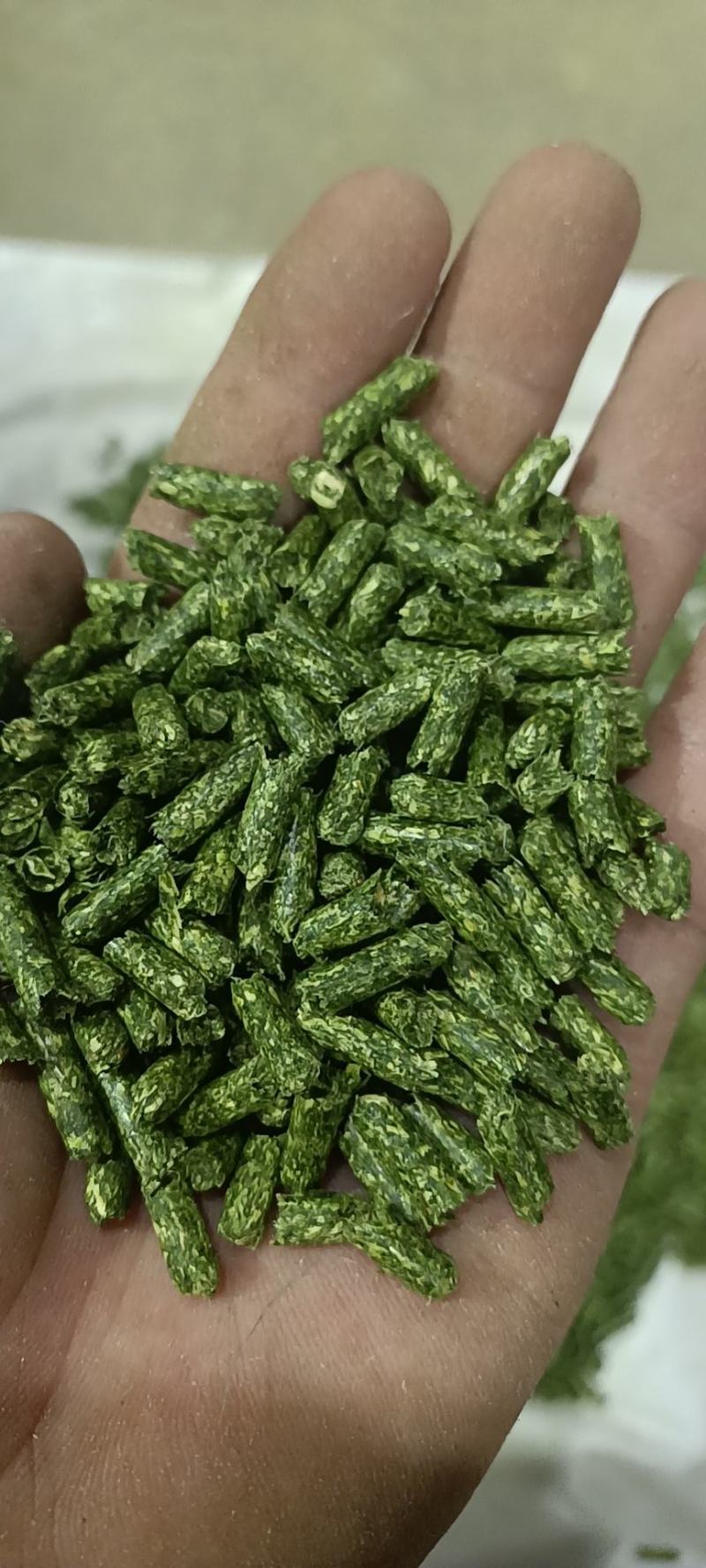 纯苜蓿草颗粒