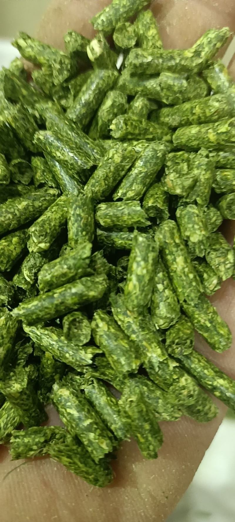 纯苜蓿草颗粒
