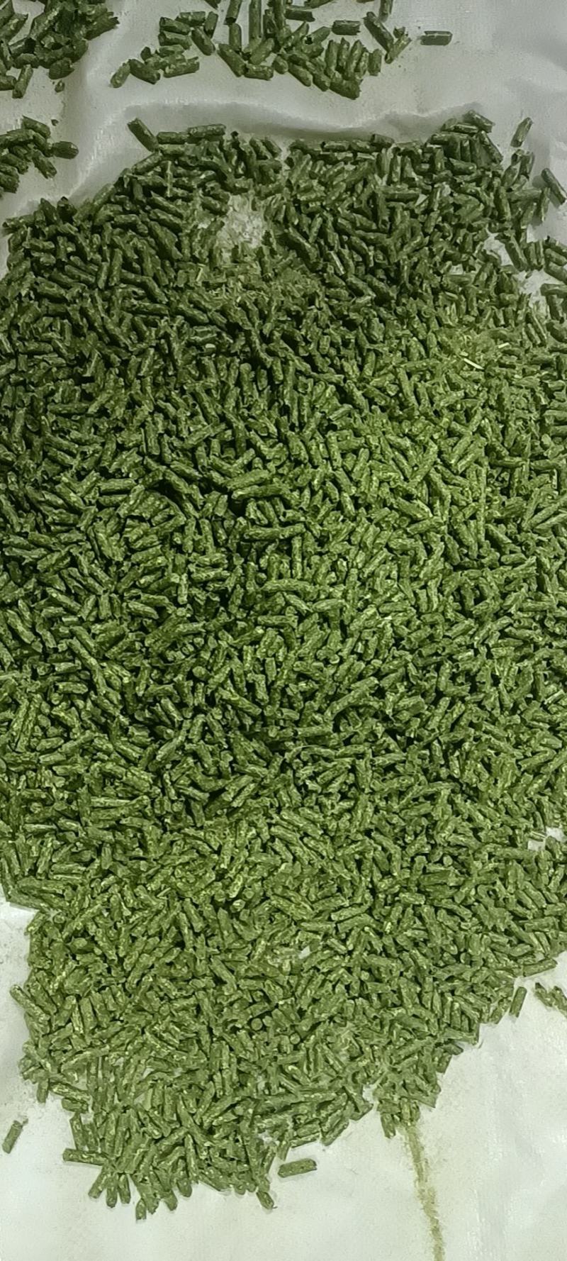纯苜蓿草颗粒