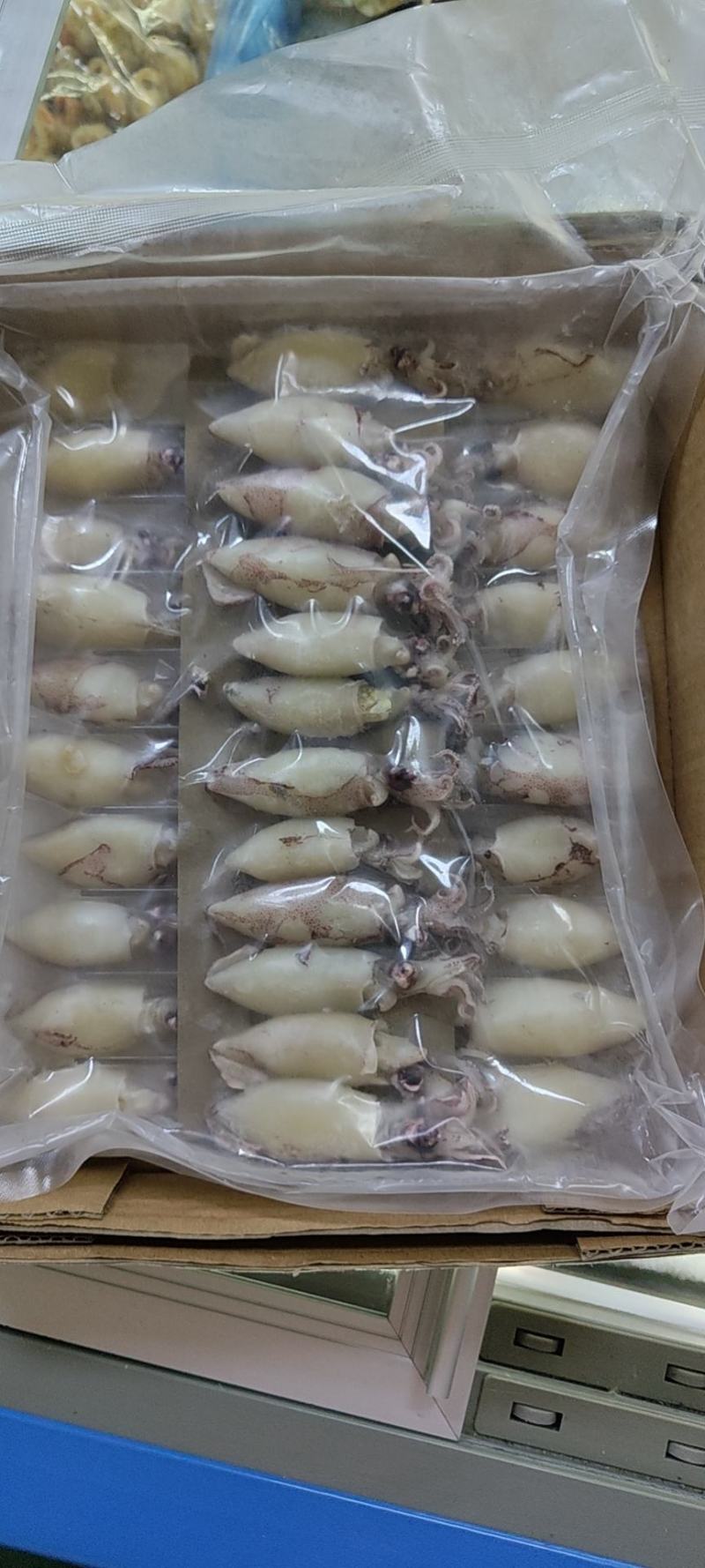 籽乌笔管鱼全籽籽乌