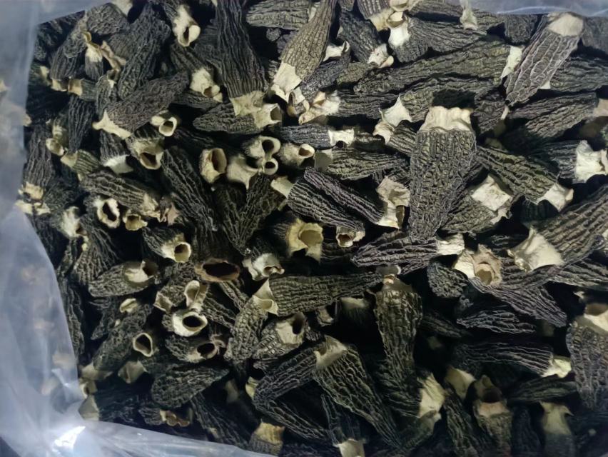 黑羊肚菌炖鸡与白羊肚菌清炒时蔬对比图,展示不同烹饪方式下的风味表现 黑羊肚菌炖鸡与白羊肚菌清炒时蔬对比图