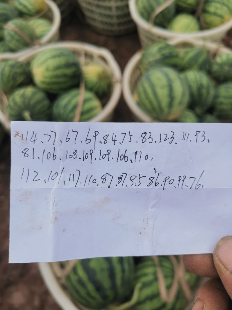 大棚美都