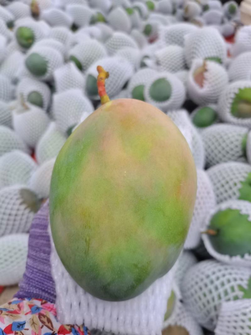 攀枝花凯特大芒果10斤装整箱孕妇水果新鲜大青芒批发