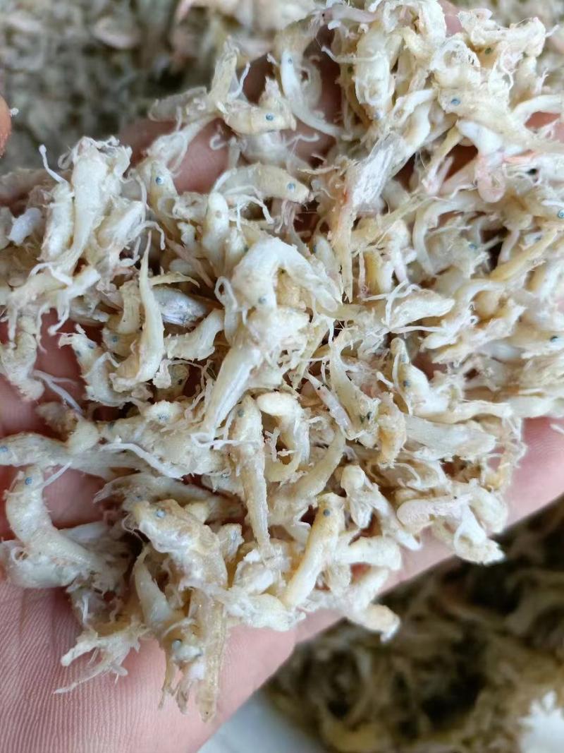 小海鱼饲料，用于养殖螃蟹，乌龟虾宠物等。
