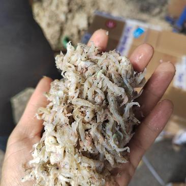 小海鱼饲料，用于养殖螃蟹，乌龟虾宠物等。
