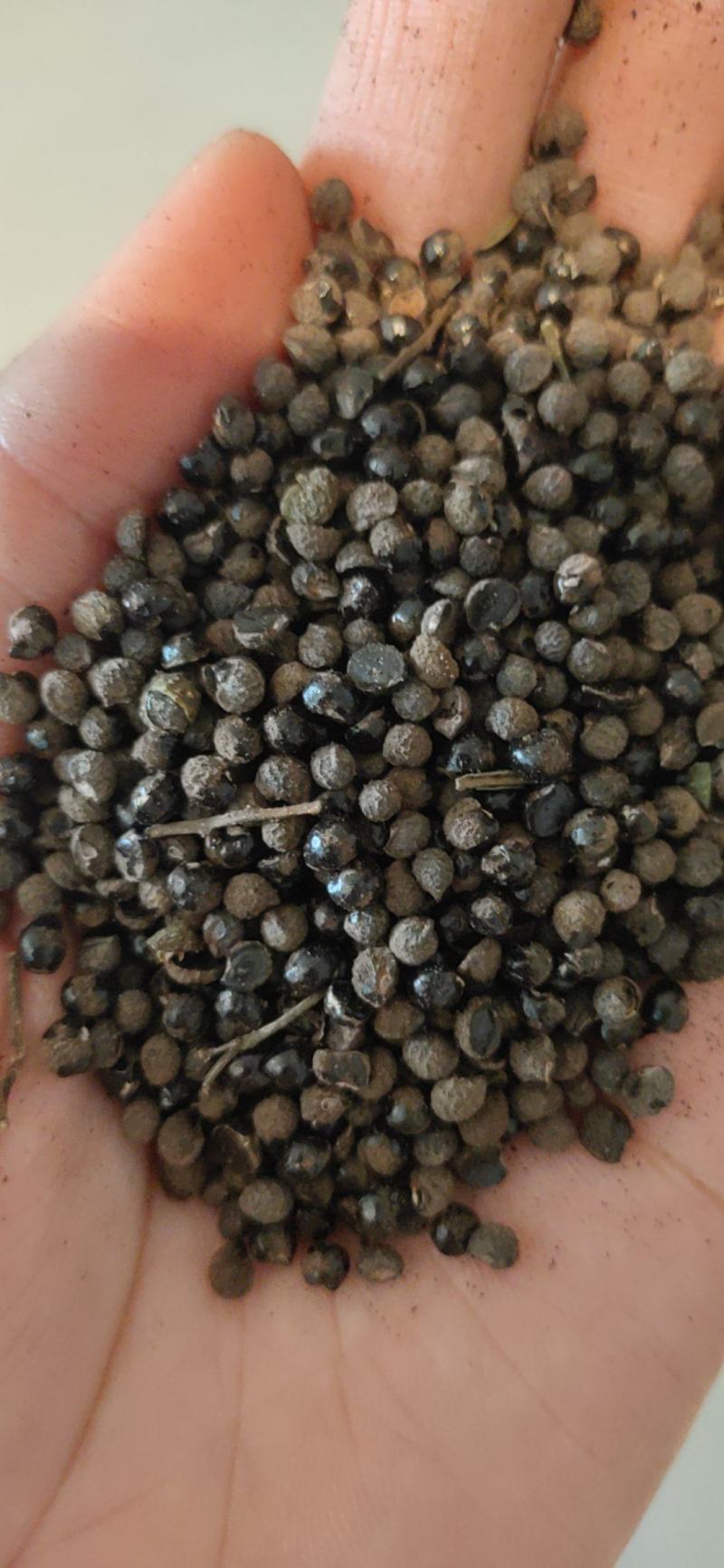 花椒籽蛋白13脂肪4-10水分10标包质量放心