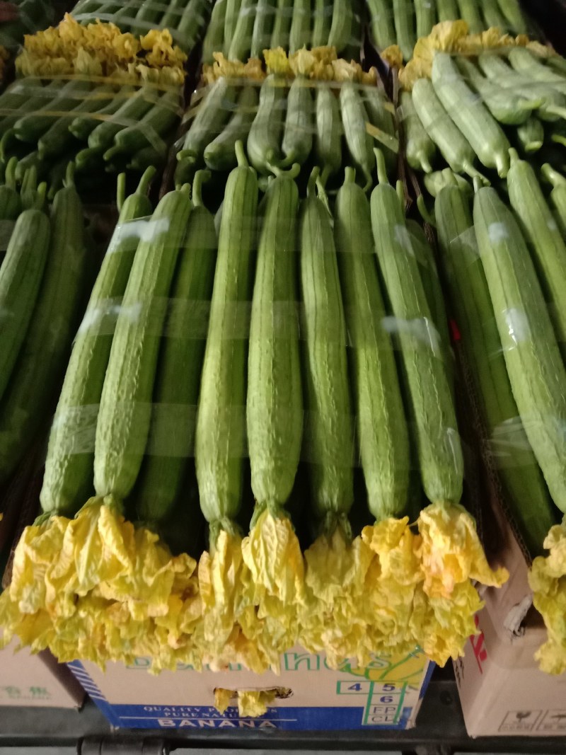 鲜花丝瓜