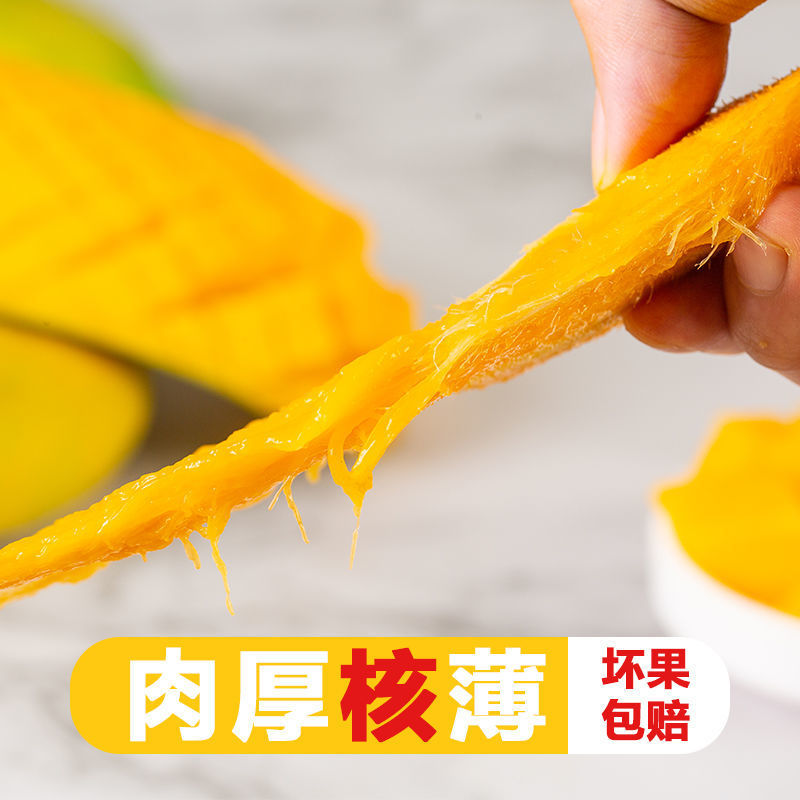 攀枝花大芒果批发10斤包邮水果批发应季新鲜特大青芒金煌芒