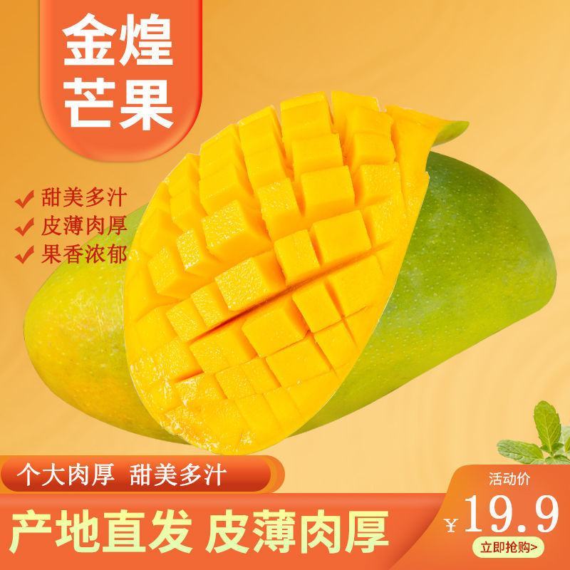 攀枝花大芒果批发10斤包邮水果批发应季新鲜特大青芒金煌芒