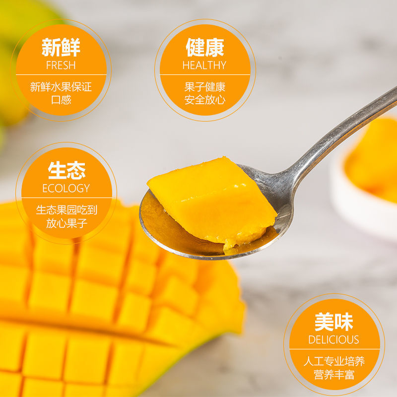 攀枝花大芒果批发10斤包邮水果批发应季新鲜特大青芒金煌芒