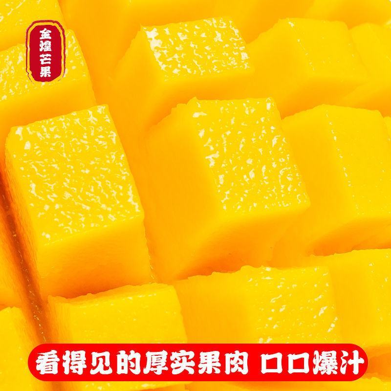 攀枝花大芒果批发10斤包邮水果批发应季新鲜特大青芒金煌芒
