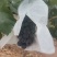 西瓜，早夏葡萄，夏黑葡萄。沪太葡萄，阳光玫瑰葡萄