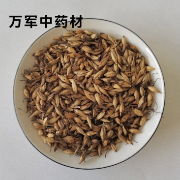 炒麦芽，麦芽，产地货源。大货批发，直接分销，价格优惠