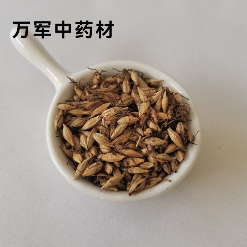 炒麦芽，麦芽，产地货源。大货批发，直接分销，价格优惠