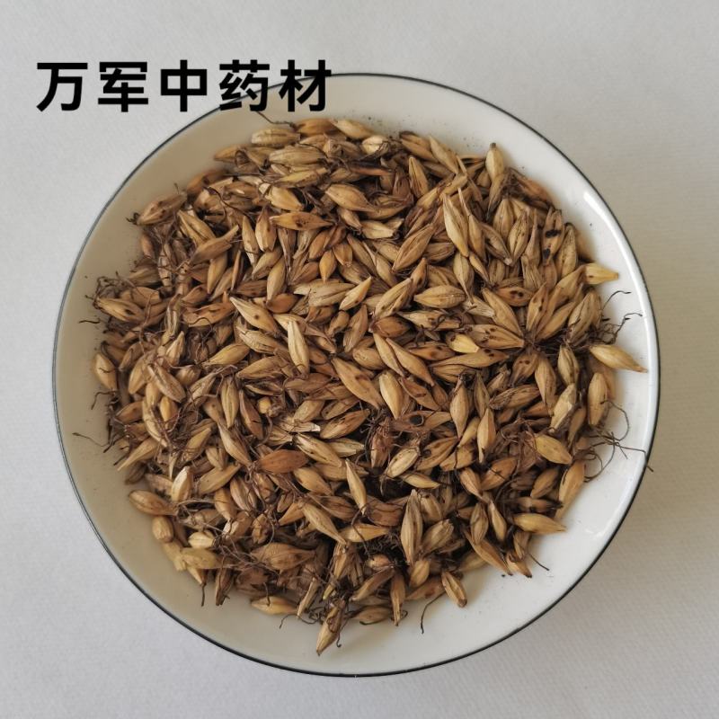 炒麦芽，麦芽，产地货源。大货批发，直接分销，价格优惠