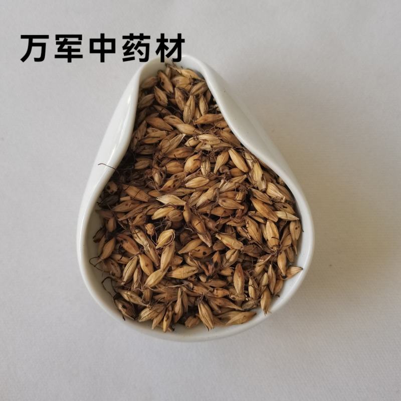 炒麦芽，麦芽，产地货源。大货批发，直接分销，价格优惠