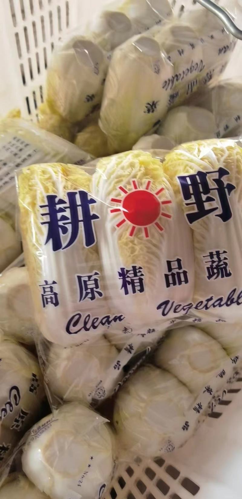 娃娃菜大量上市货源充足，量大价优商超食堂平台直供