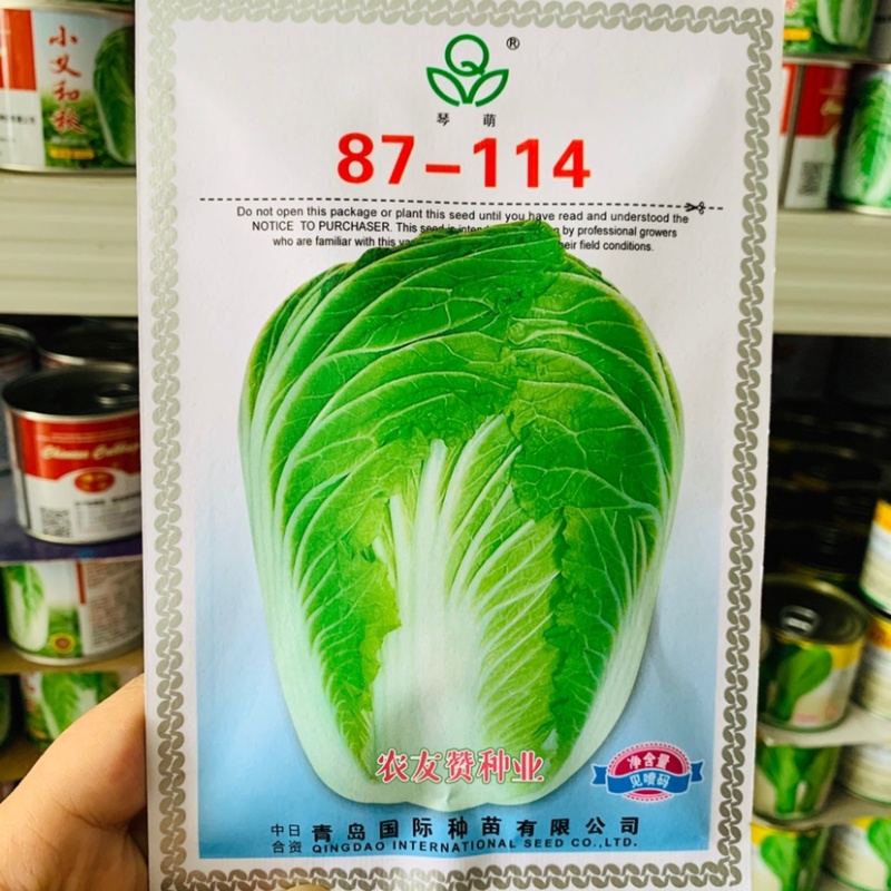 琴萌87114大白菜种子山东大白菜杂交种子，中晚熟白菜