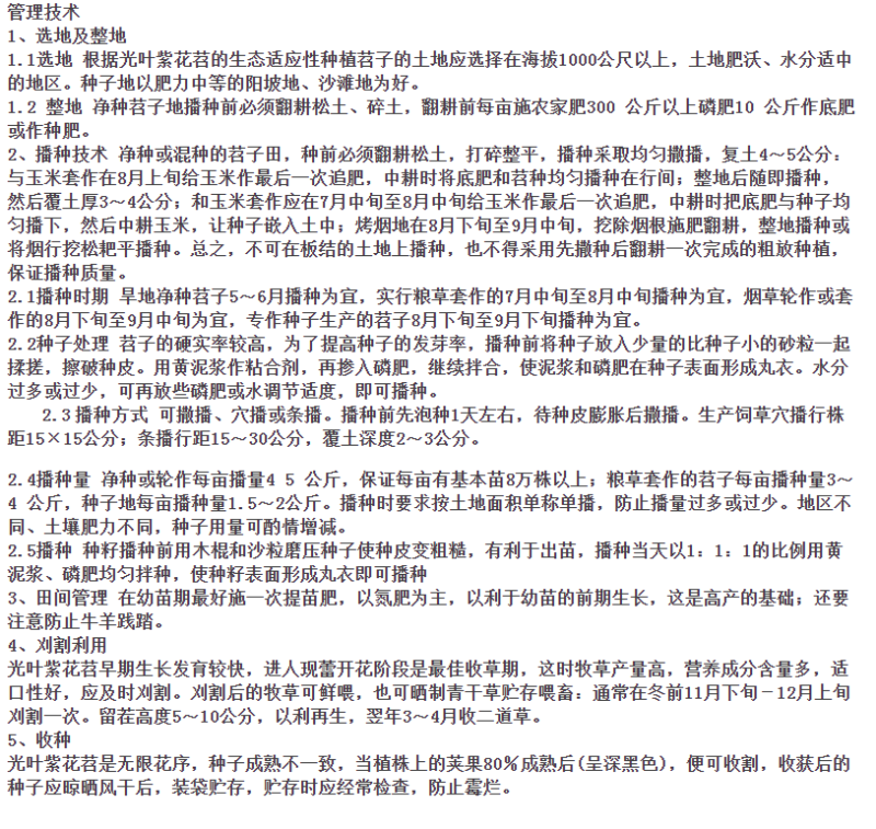 光叶紫花苕种子天然绿肥毛苕子野豌豆抑制杂草土壤增肥草籽