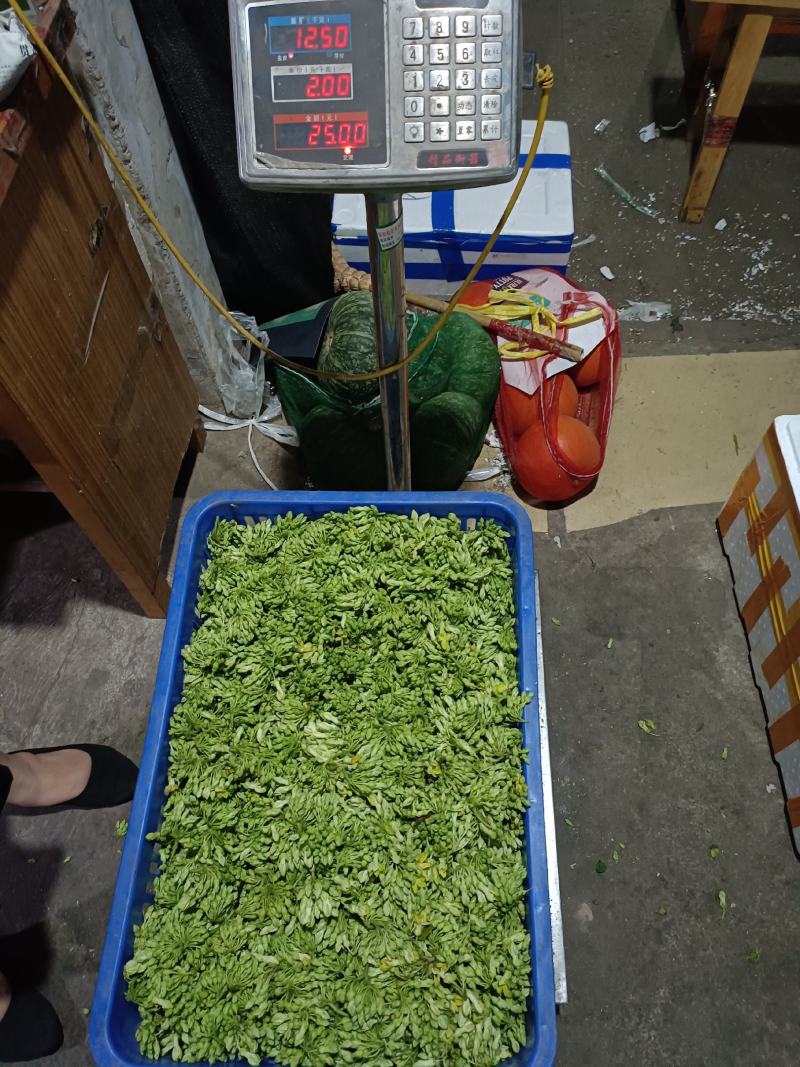 夜香花夜来香天丽花
