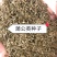 蒲公英种子婆婆丁子出芽率%90免费技术指导成品回收