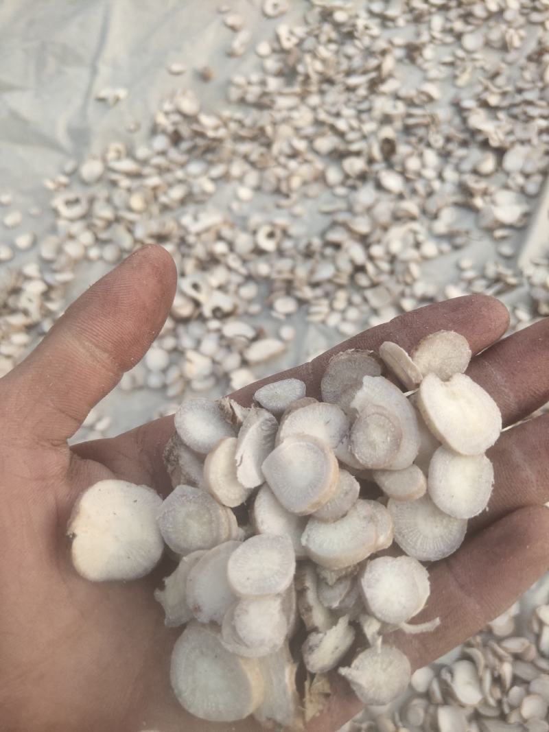 白芍片各种规格产地直销一手货源批发零售
